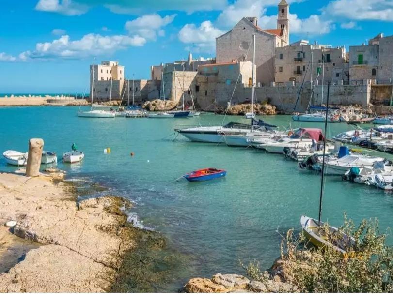 Piazza Duomo - Medieval Puglia'S House Giovinazzo Exteriör bild